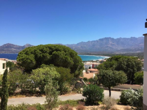 appartement Calvi